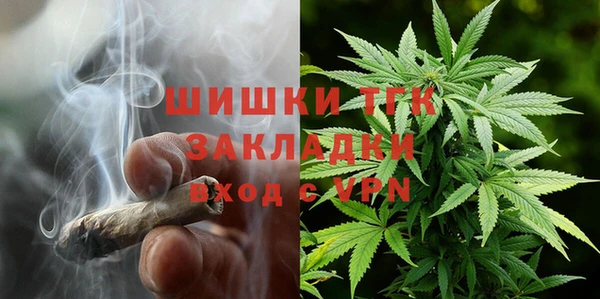 ECSTASY Гусев