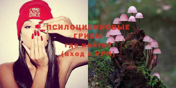ALPHA PVP Горнозаводск