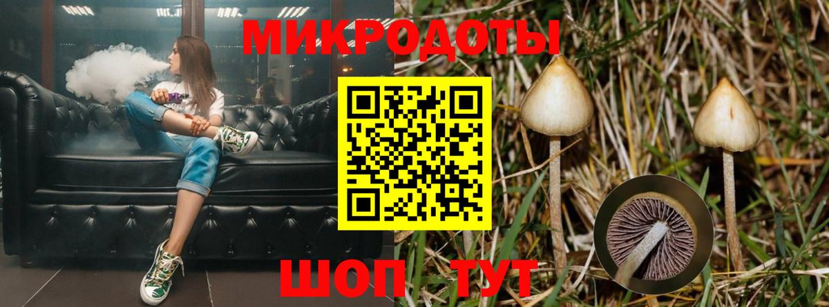Унеча  Галлюциногенные грибы Cubensis  Вход с VPN 